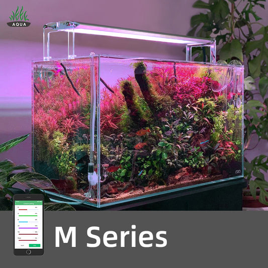 WEEKAQUA M Series-Cherries Nature Aquarium