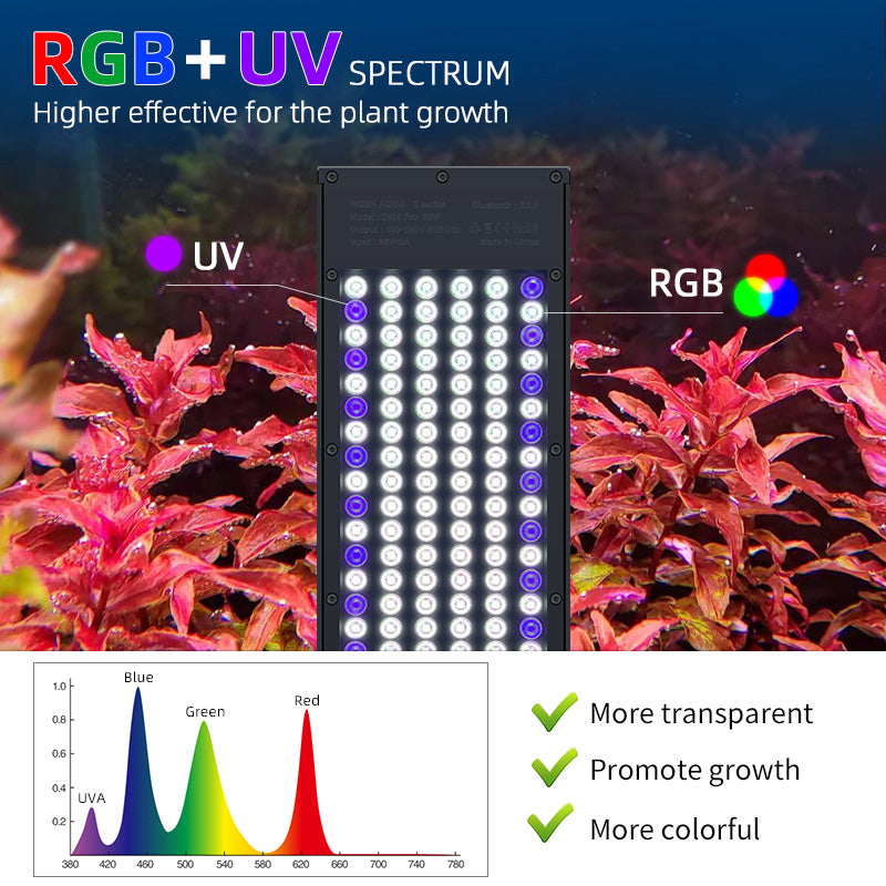 WEEK AQUA Z Series-Cherries Nature Aquarium