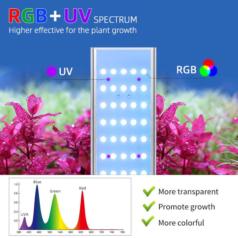 WEEK AQUA L Series-Cherries Nature Aquarium
