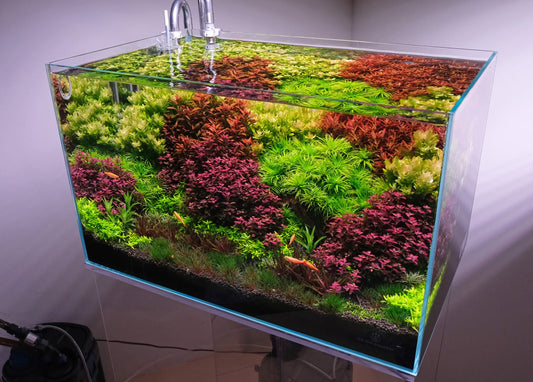 NA Rimless Aquariums