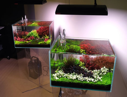 Week Aqua A430 Series