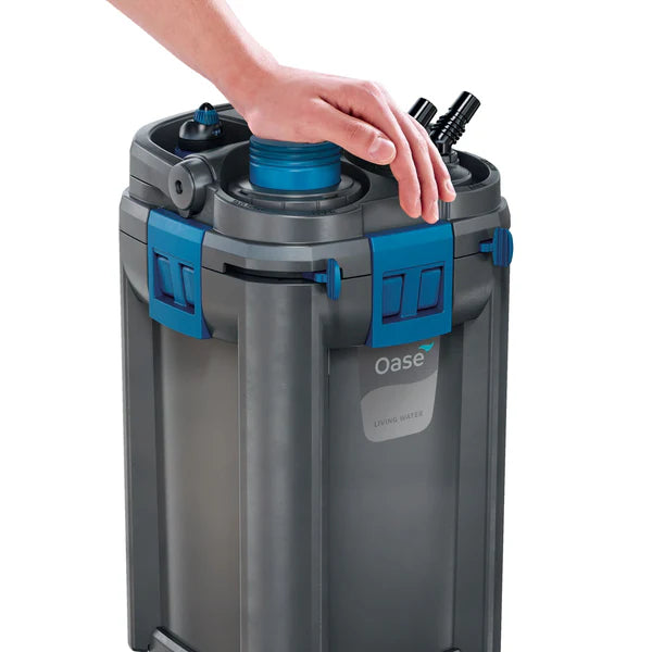 OASE Biomaster-Cherries Nature Aquarium