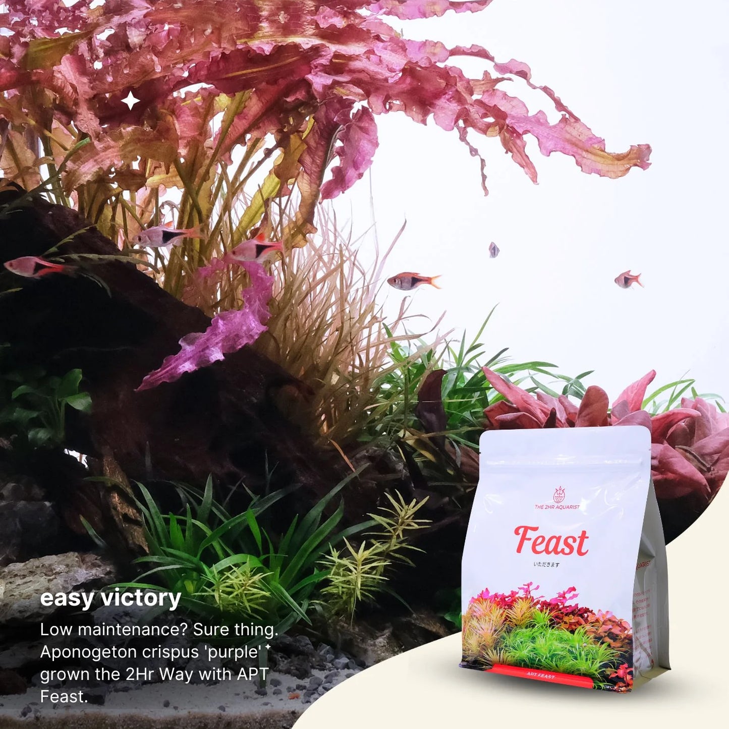 2Hr Aquarist APT Feast-Cherries Nature Aquarium