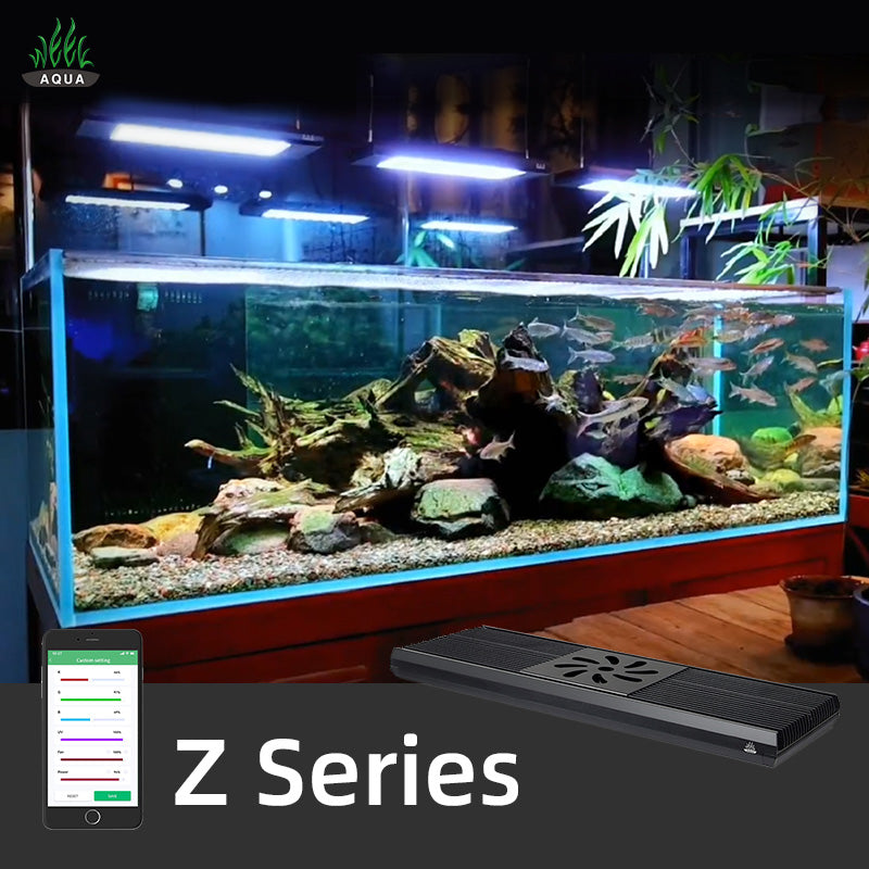 WEEK AQUA Z Series-Cherries Nature Aquarium