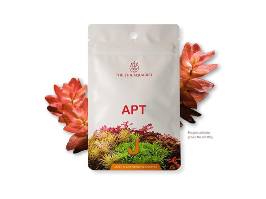 2Hr Aquarist APT Jazz-Cherries Nature Aquarium
