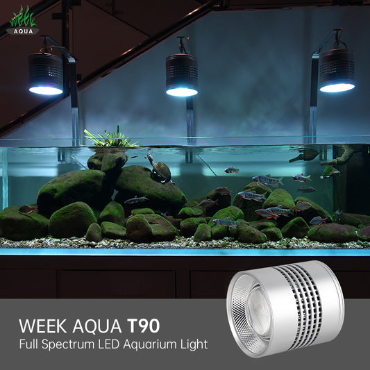 WEEKAQUA T90-Cherries Nature Aquarium