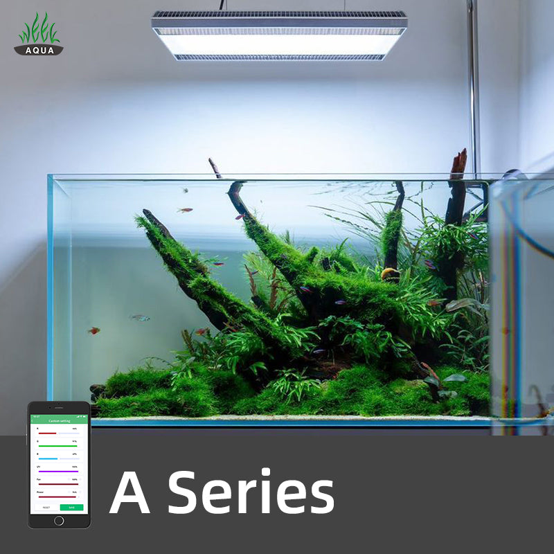 Week Aqua A430 Series