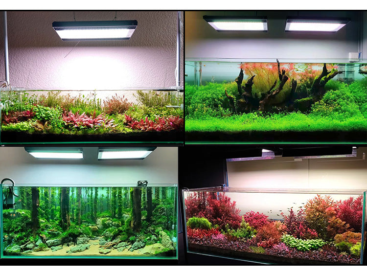 Week Aqua A430 Series