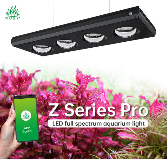 WEEK AQUA Z Series
