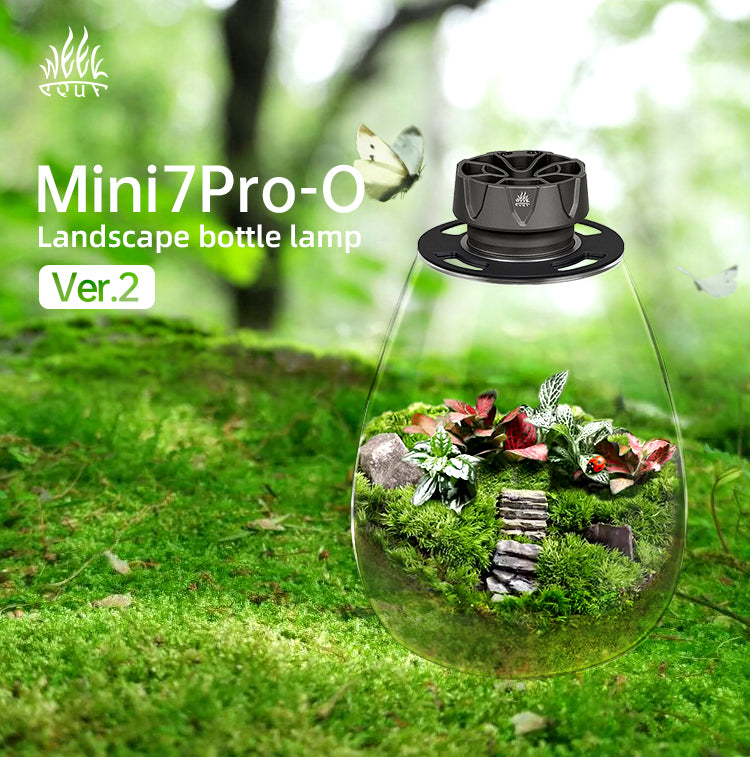 Week Aqua Mini7Pro-O Small Terrarium