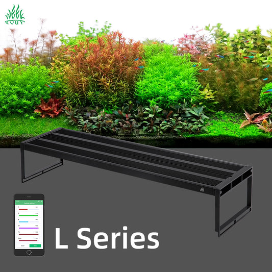 WEEK AQUA L Series