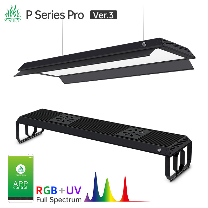 WEEK AQUA P Series