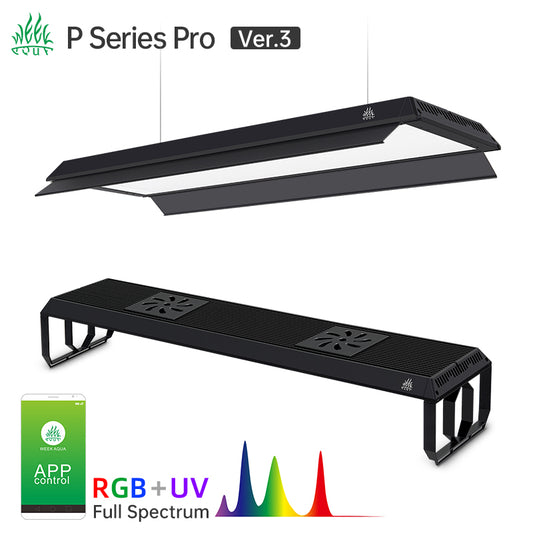 WEEK AQUA P Series