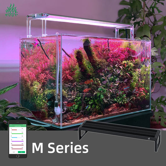 WEEKAQUA M Series