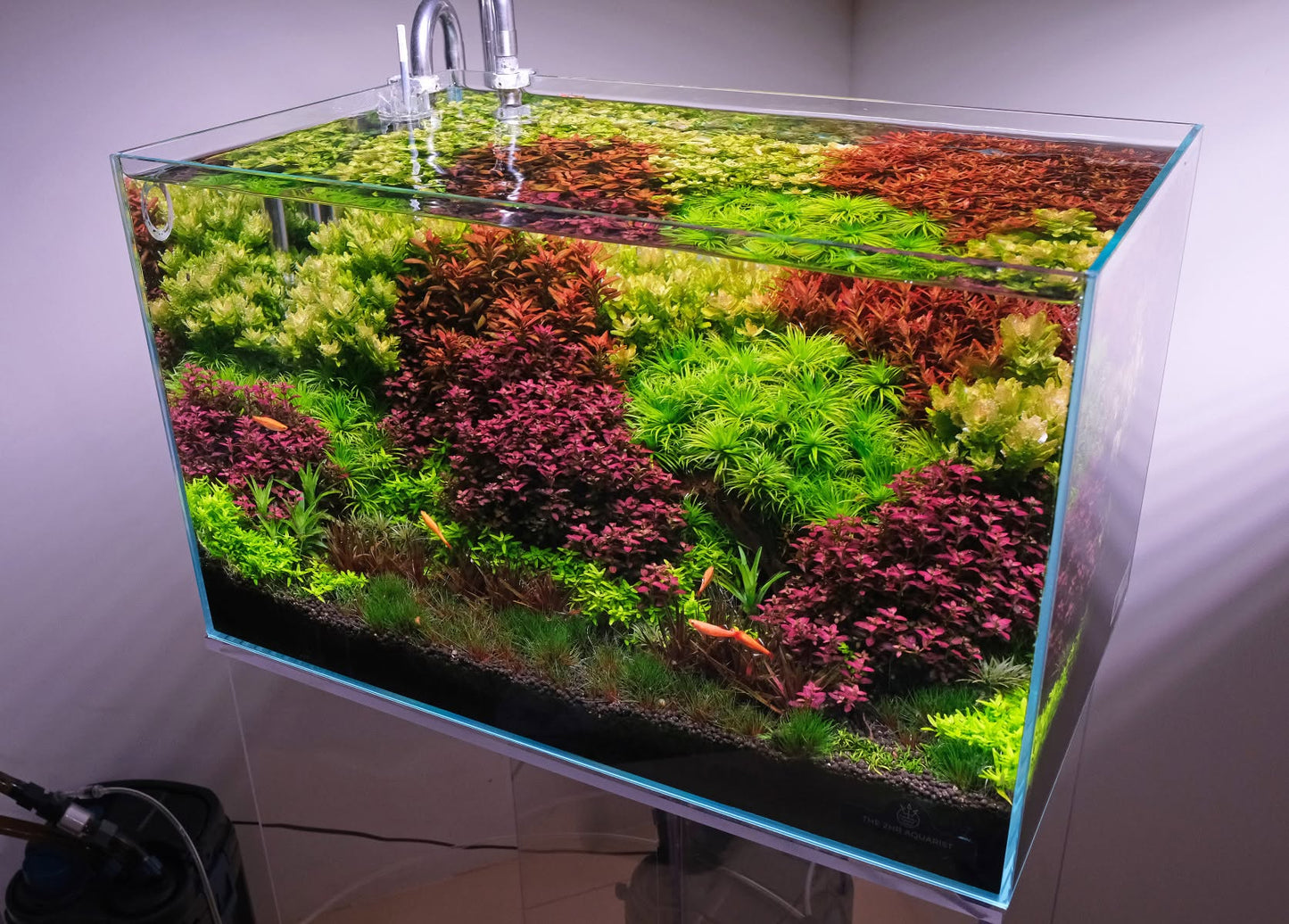 NA Rimless Aquariums