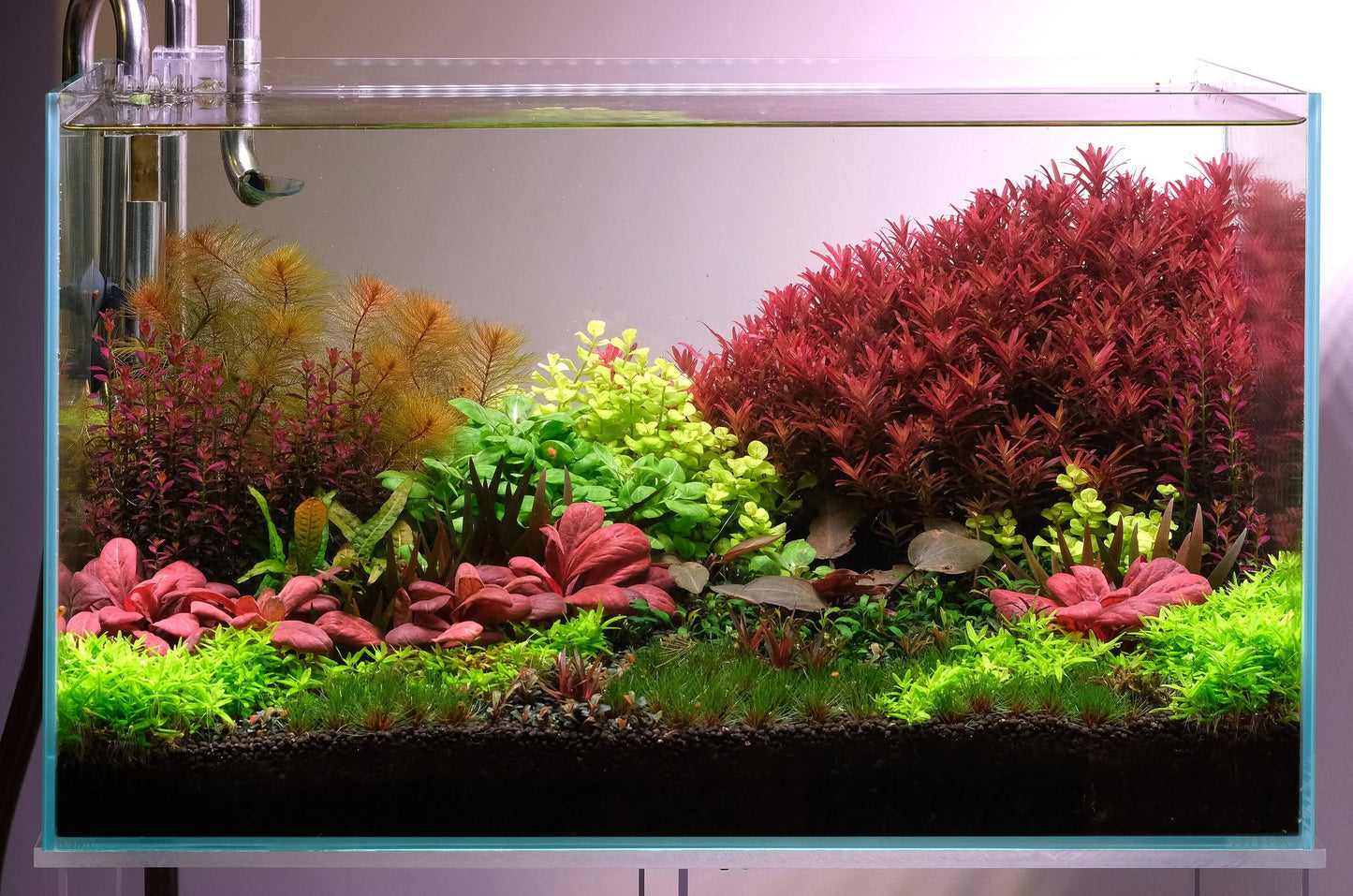 NA Rimless Aquariums