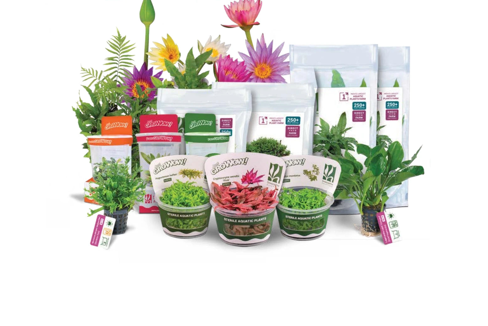Sreepadma GroWow tissue culture cups, potted plants and packaged aquatic plants from the official catalogue.