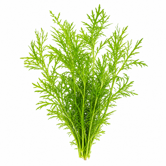 Hygrophila difformis